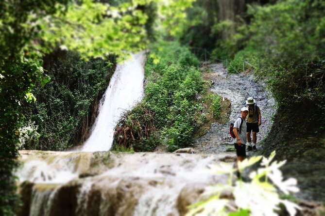 Half-Day River Trekking Stenosia From Kalamata - Inclusions