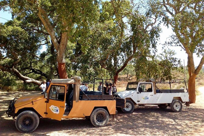 Half Day Safari Tour With Wine Tasting - Included Experiences