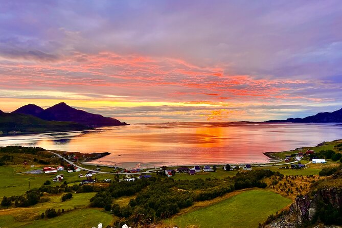 Half-Day Scenic Wildlife & Photographic Fjord Tour. - Tour Details