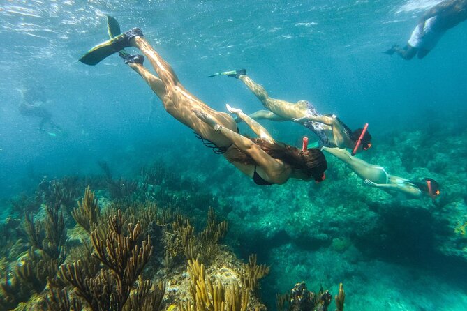 Half Day Snorkel From Providenciales With Visit to Half Moon Bay - Meeting and Pickup