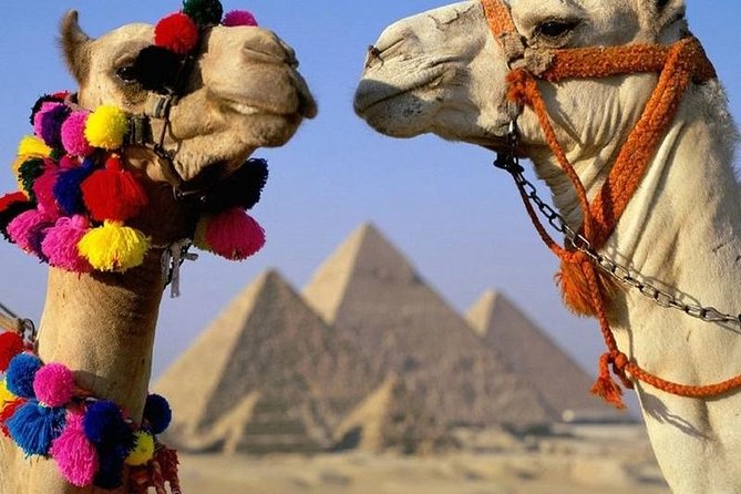 Half Day Tour to Giza Pyramids & Sphinx - Inclusions