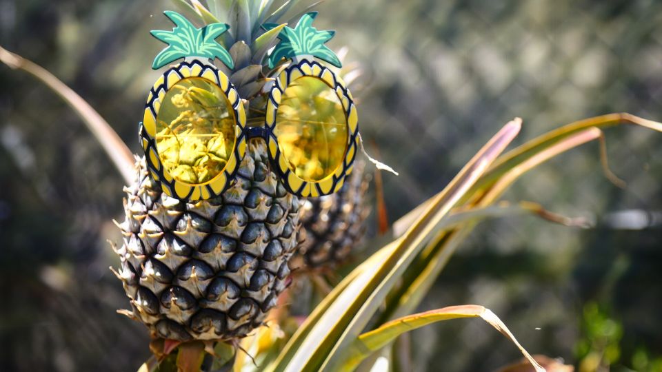 Haliimaile: Pineapple Farm Tour - Experience Highlights