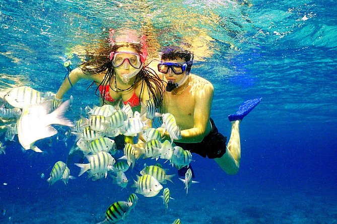 Happy Hour Party Boat With Snorkeling - Snorkeling Coral Reefs