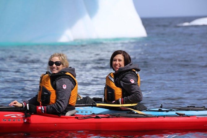 Harbour Kayak Tour - Meeting and Pickup