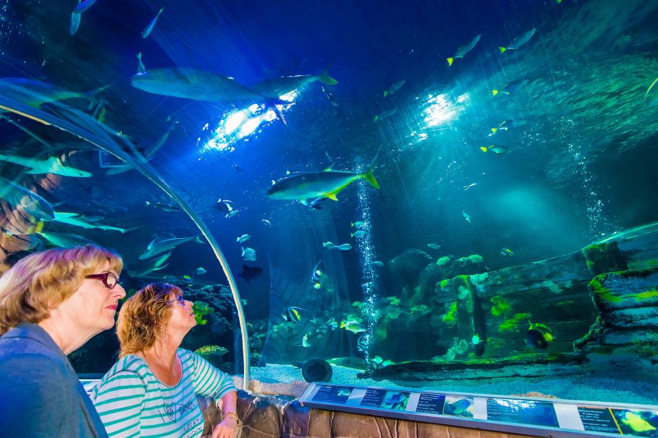 Helsinki: Sea Life Entrance Tickets - Aquarium Highlights