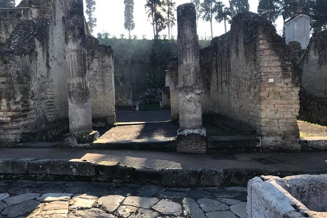 Herculaneum - Small Group Tour - The Eruption of Mt. Vesuvius