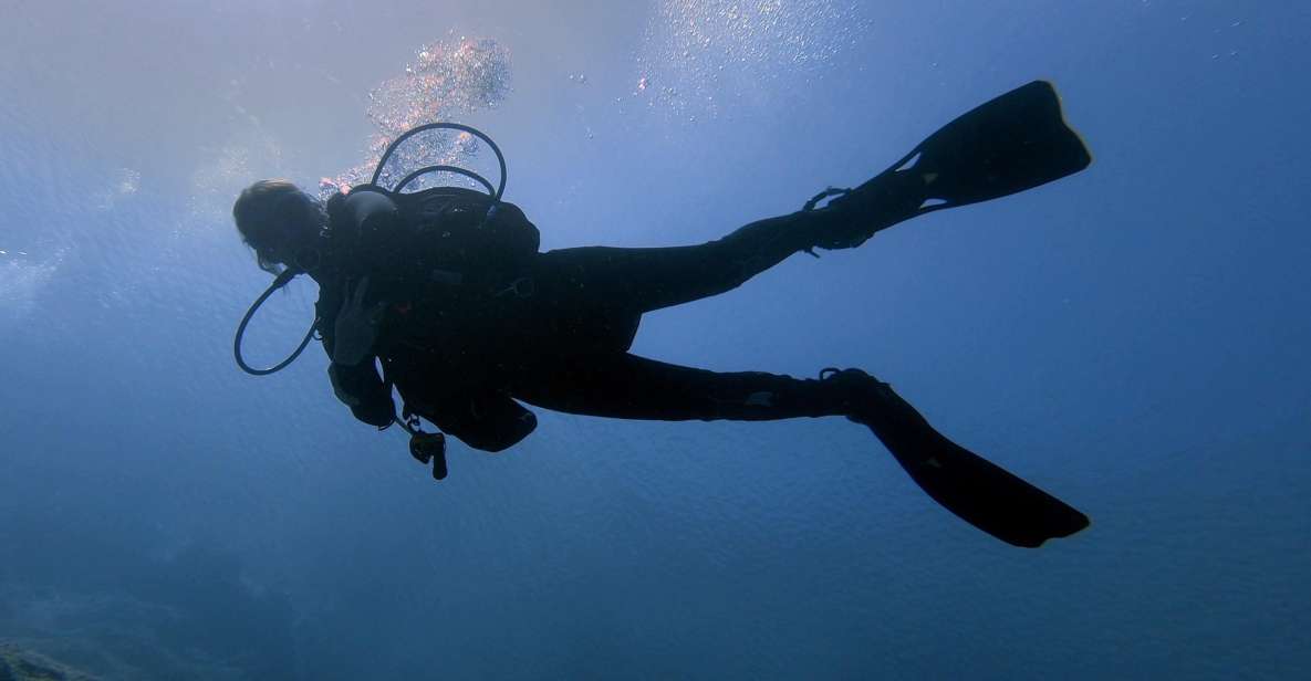 Hersonissos, Stalida: Beginner Scuba Diving Experience - Program Structure