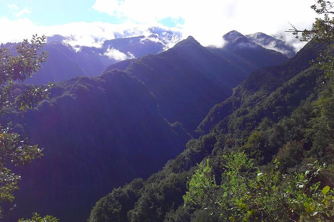 Hidden Corners: Levada Walk From Funchal - Itinerary Details