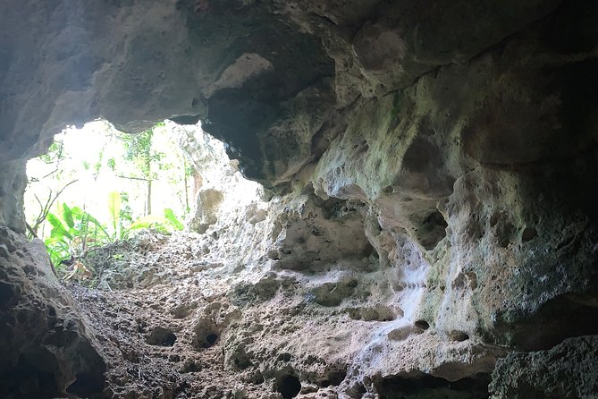 Hidden Gems of the North, Puerto Rico Private Tour - Tour Logistics