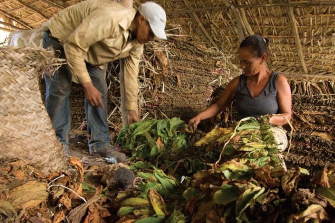 Higuey City Tour - A Cultural Experience From Punta Cana - Customer Feedback Highlights