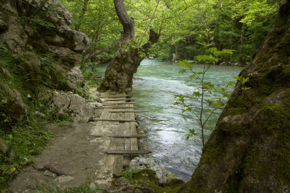 Hiking and Rafting in Voidomatis - Pricing and Booking