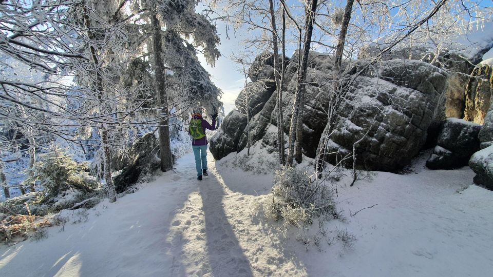 Hiking in the Table Mountais for Seniors - Experience Highlights