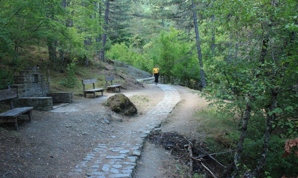 Hiking, Swimming and Sightseeing Tour in Central Zagori Area - Activity Highlights