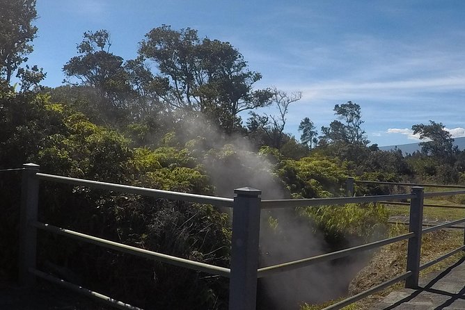 Hilo Shore Excursion: Volcanoes National Park, Rainbow Falls - Tour Details and Logistics