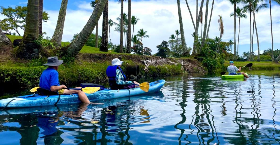 Hilo: Wailoa River to King Kamehameha Guided Kayaking Tour - Experience Highlights