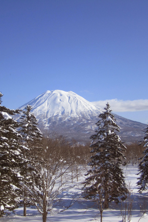 Hokkaido Niseko Ski Day Tour - Transportation and Pickup