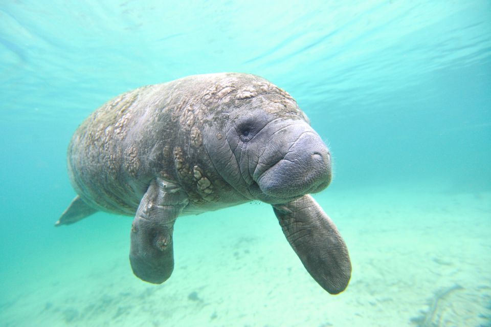 Holiday, FL: Anclote Key Preserve Private Boat Tour - Meeting Point and Location