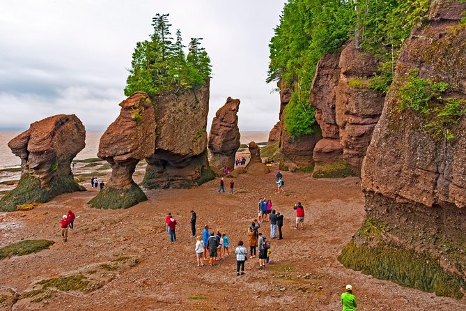 Hopewell Rocks Express Tour From Moncton - Meeting and Pickup Details