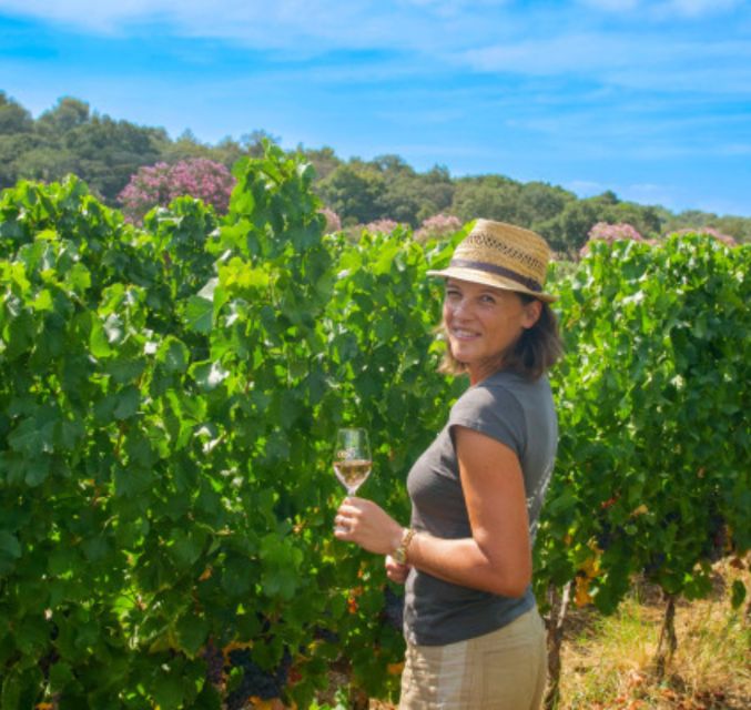 Horse Back Riding and Wine Tasting in Ramatuelle - Horseback Riding Through Vineyards