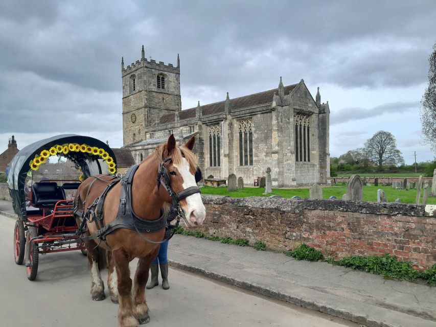 Horse Drawn Carriage Ride and Picnic Hamper - Booking and Cancellation Policy