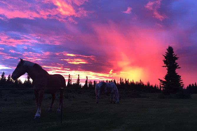 Horse-Drawn Covered Wagon Ride With Backcountry Dining - Tour Details and Highlights