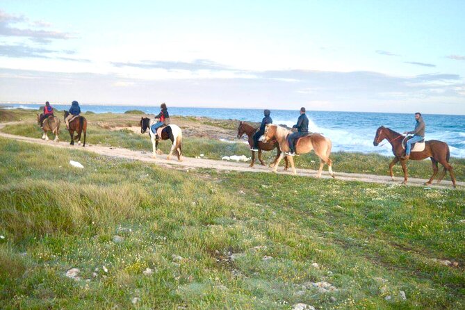 Horse Ride in a Salento Nature Reserve With Transfer From Lecce - Pricing and Capacity