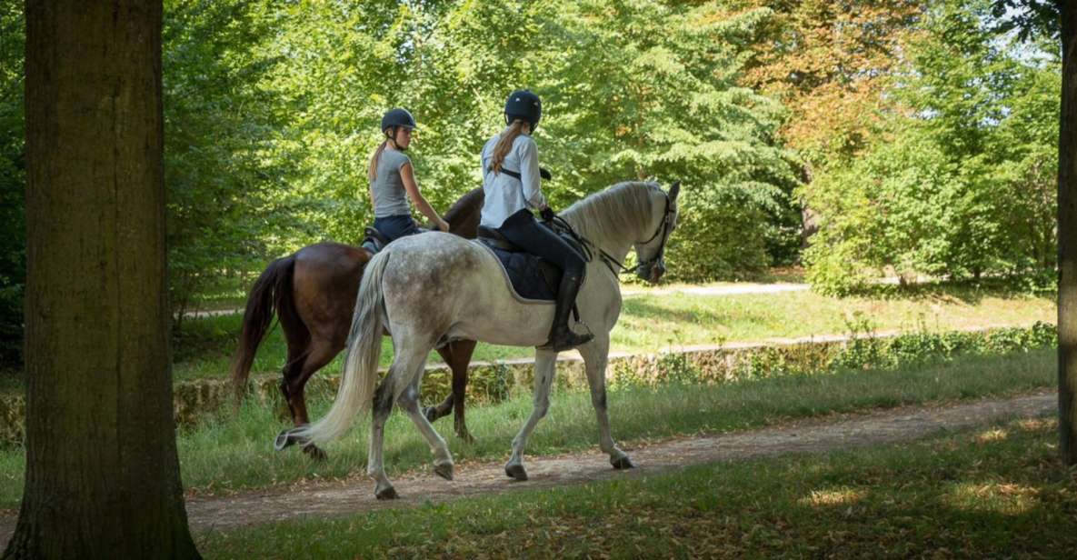 Horse Ride Versailles Intimacy & VIP - Duration and Meeting Point