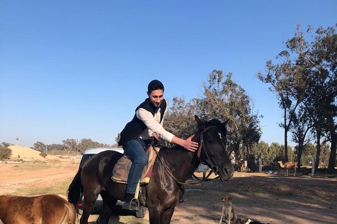 Horse Riding Agadir - Exploring Beaches and Sand Dunes