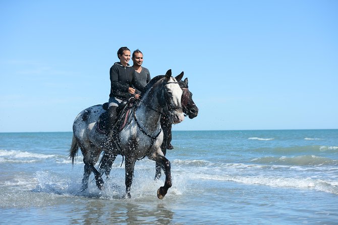 Horse Riding Morning Ride in Paros - Meeting and Pickup