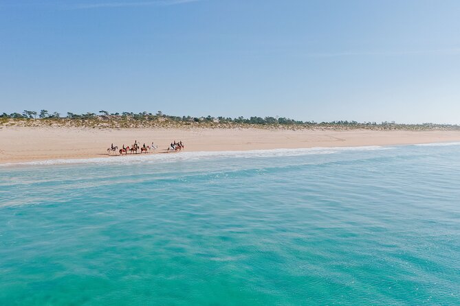 Horse Riding on the Beach With Private Transfer From Lisbon - Admiring the Scenery