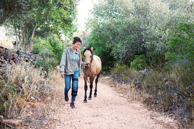 Horse Sanctuary: a Nature Walk With Rescued Horses by Your Side - Meeting Information