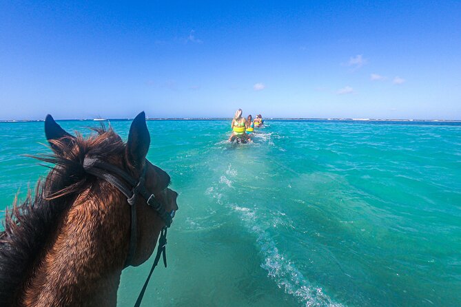 Horseback Ride and Swim With Hotel Pick-Up - Horseback Riding Logistics