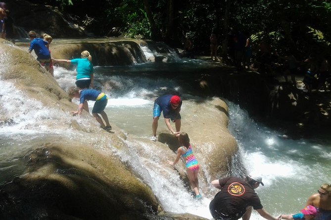 Horseback Ride Ziplining and Dunns River Falls Adventure From Montego Bay, - Inclusions and Transfers