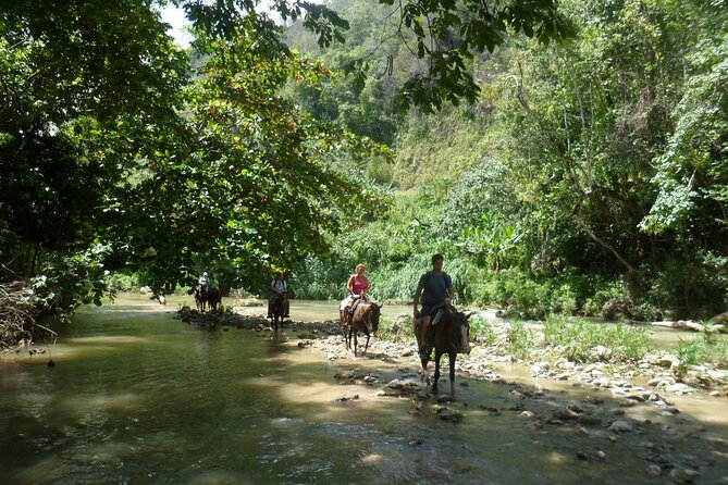 Horseback Riding Across Indigenous Trails Puerto Plata - Meeting and Pickup