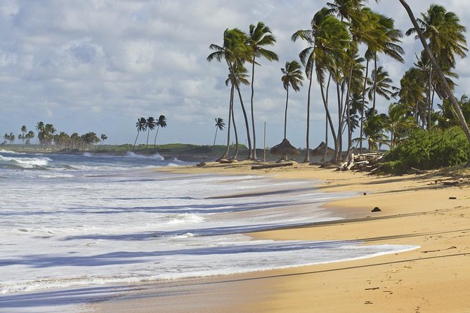 Horseback Riding Adventure Punta Cana - Included in the Tour