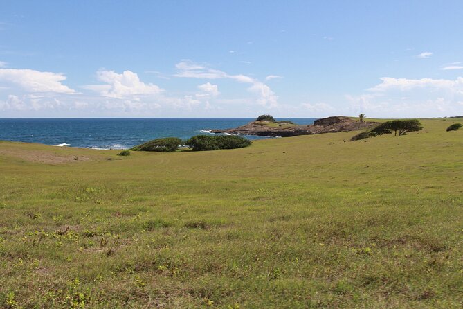 Horseback Riding Adventure Tour in St. Lucia - Traveler Requirements and Recommendations