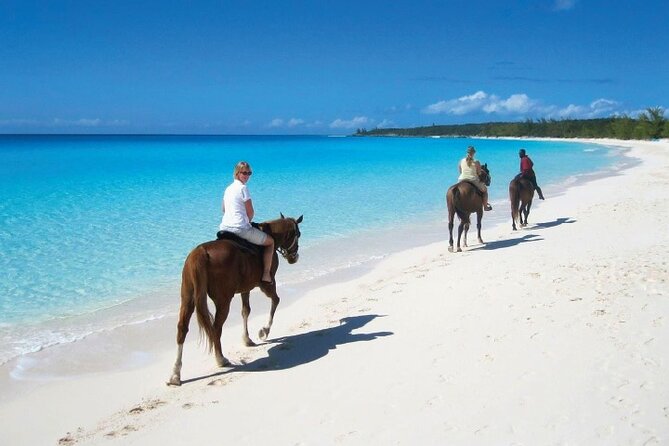 Horseback Riding Along the Beach - Duration and Group Size