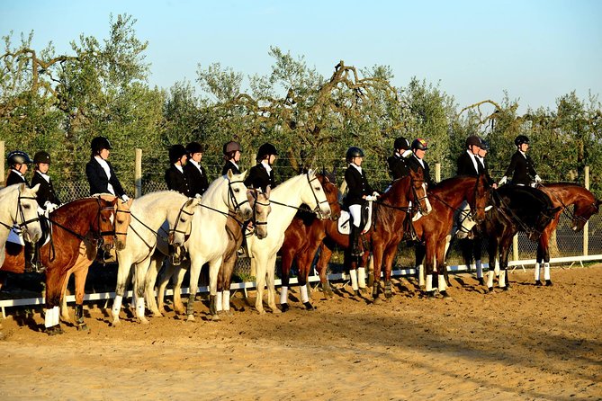 Horseback Riding Around Doñana - Whats Included