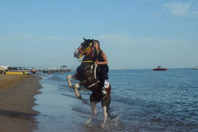 Horseback Riding by Beach or Forest in Manavgat Side - Included in the Tour