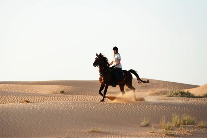 Horseback Riding in Dubai Desert With Transfers - Itinerary and Experience Details