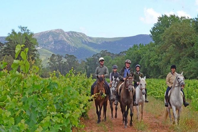 Horseback Riding In Lisbon - Arrábida - Louro Trail Mountain 5 - 6 Hours - Stunning Landscapes