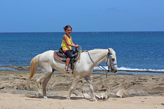 Horseback Riding Through Secluded Beaches and Tropical Forests - Additional Details