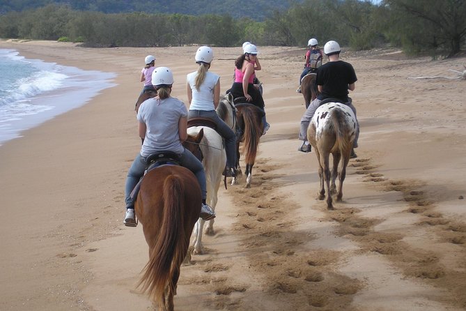 Horseback Riding Tour From Punta Cana Inclusions And Pricing