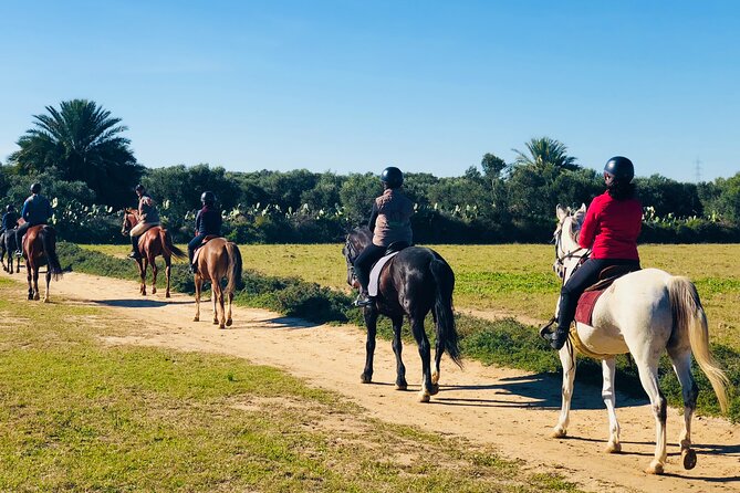 Horseback Riding With Private Transfer - Transportation and Pickup Service