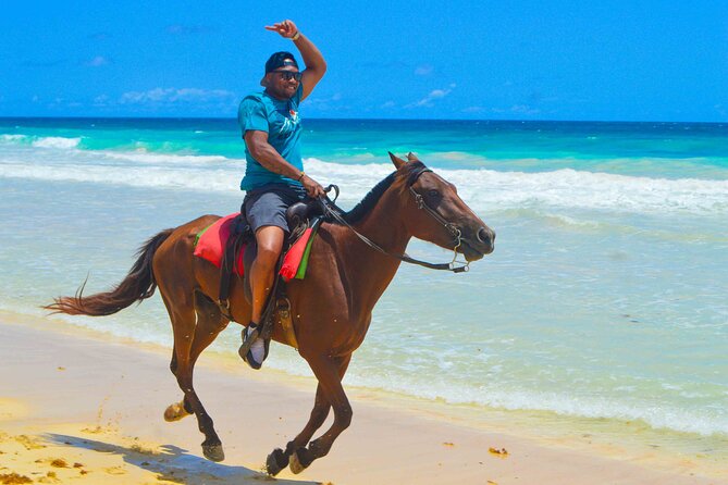 Horses, Water Cave, Coffee Test, Cigars, Punta Cana - Cancellation Policy and Pricing