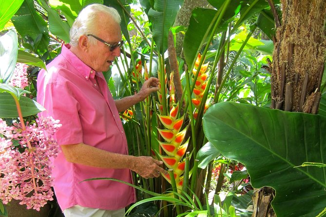 Huntes Gardens - Discovering Exotic Plant Wonders