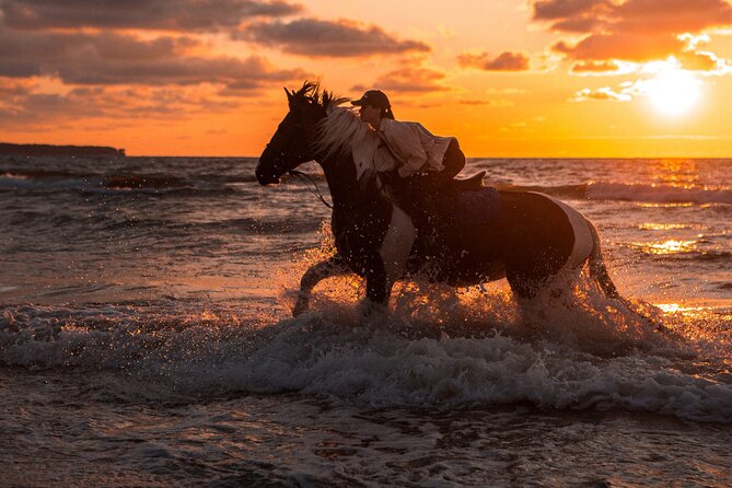 Hurghada: 2 Hours Camel and Horse Riding Adventure on The Sea. - Tour Experience and Feedback