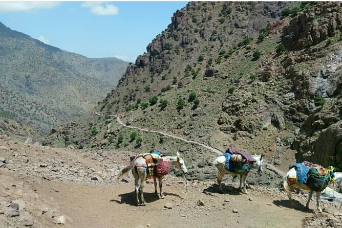 Imlil Valley & Mount Toubkal Private 3 Days Trek From Marrakech - Included Amenities and Services