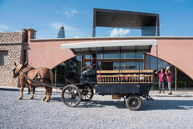 In a Carriage Among the Vineyards, Visit of the Cellar, Tasting of Organic Wines. - Schedule and Operating Hours