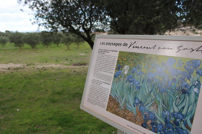 In the Footsteps of Van Gogh in Provence From Avignon - Touring the Saint-Paul Asylum